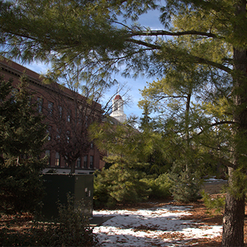 Landscape of UNL
